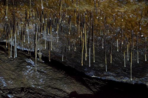 Crag Cave, Castleisland, Co. Kerry, Ireland